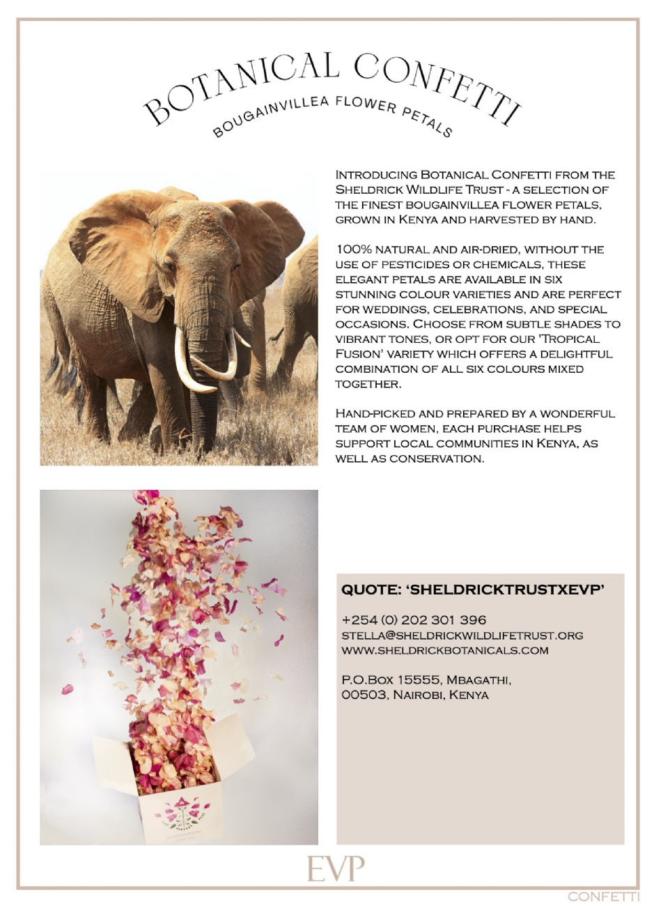 Photo radE8AA7_2026_3_9.jpg